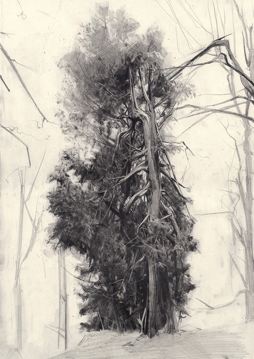 The Three Sisters III by Jessica Taylor