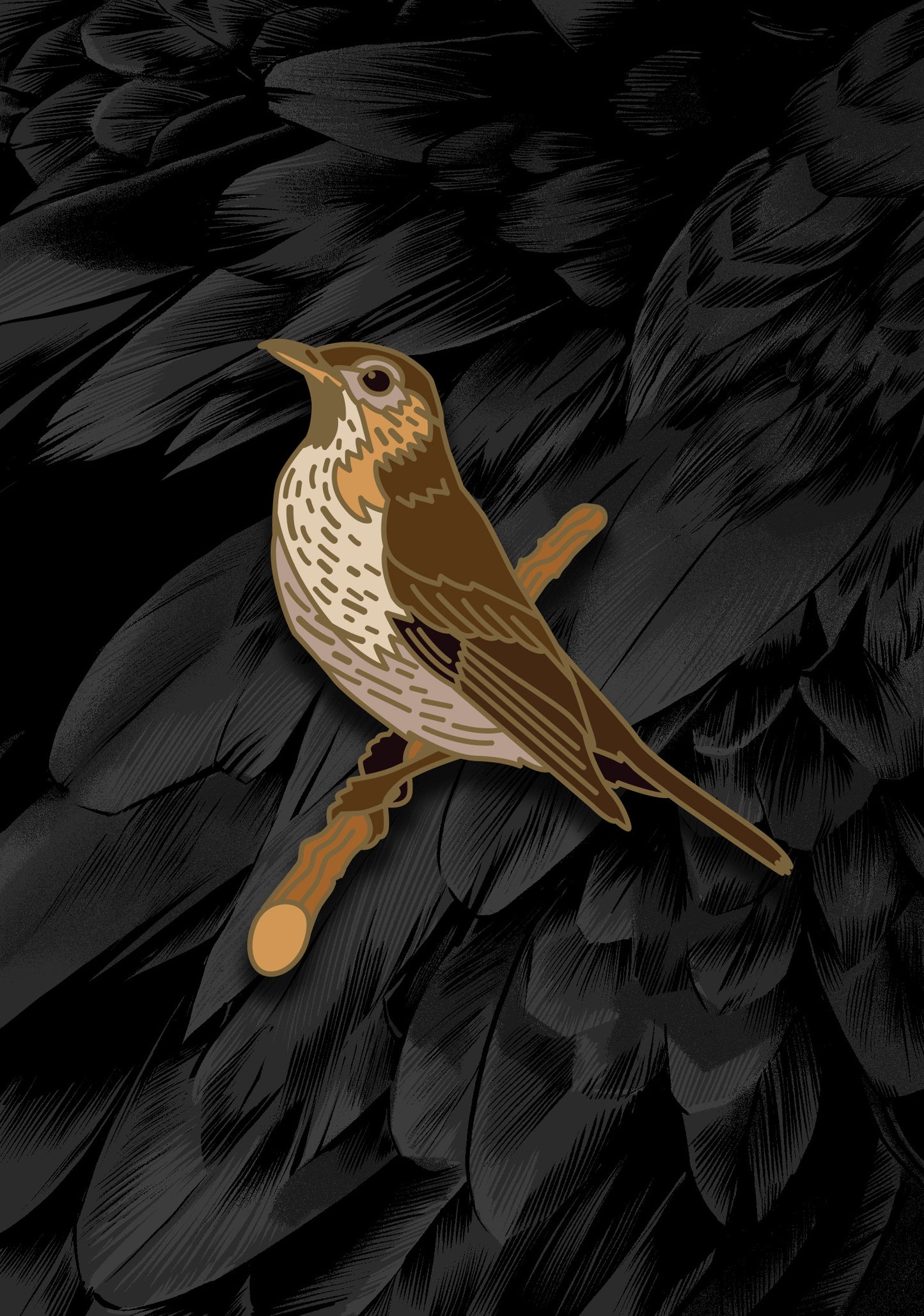 Song Thrush