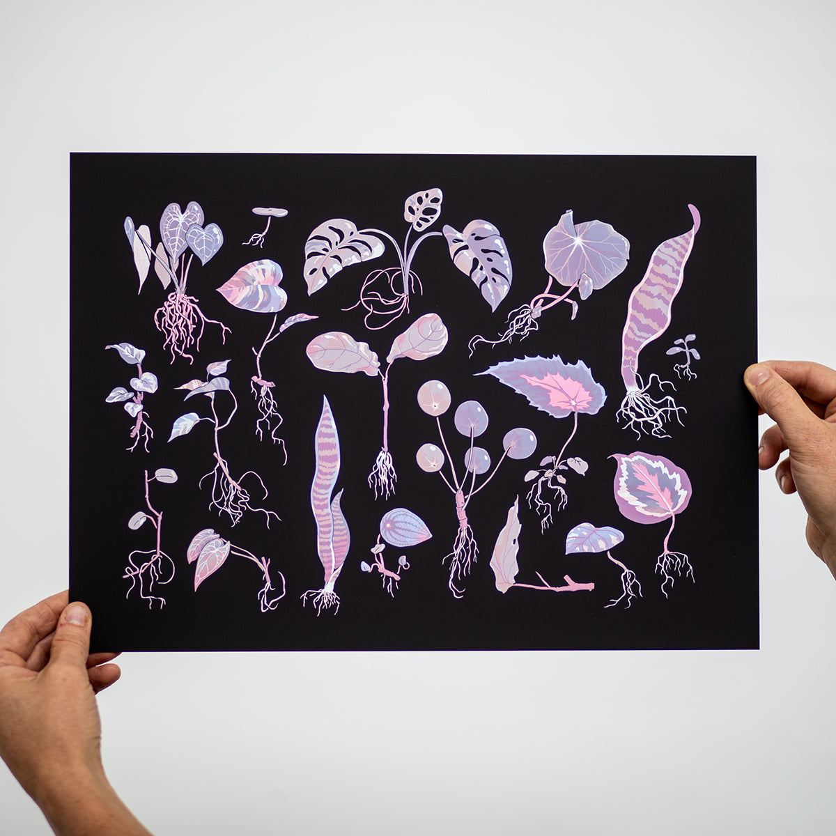 Propagation