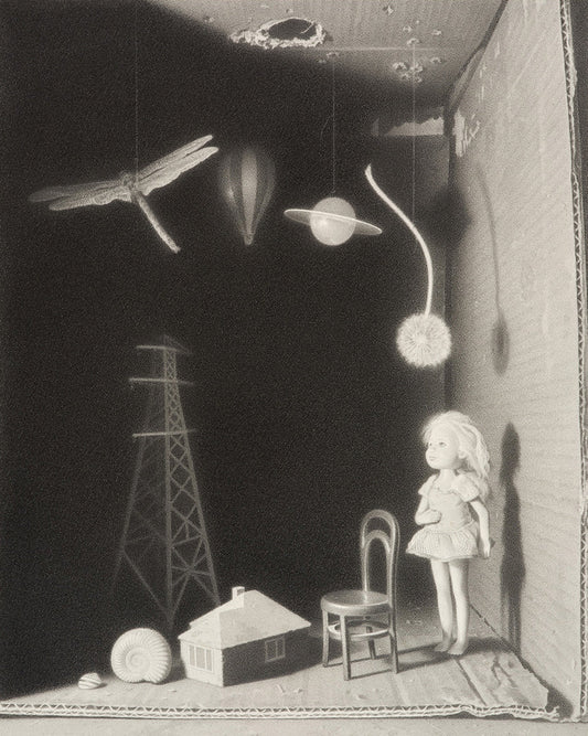 'The Dragonfly' by Lewis Chamberlain