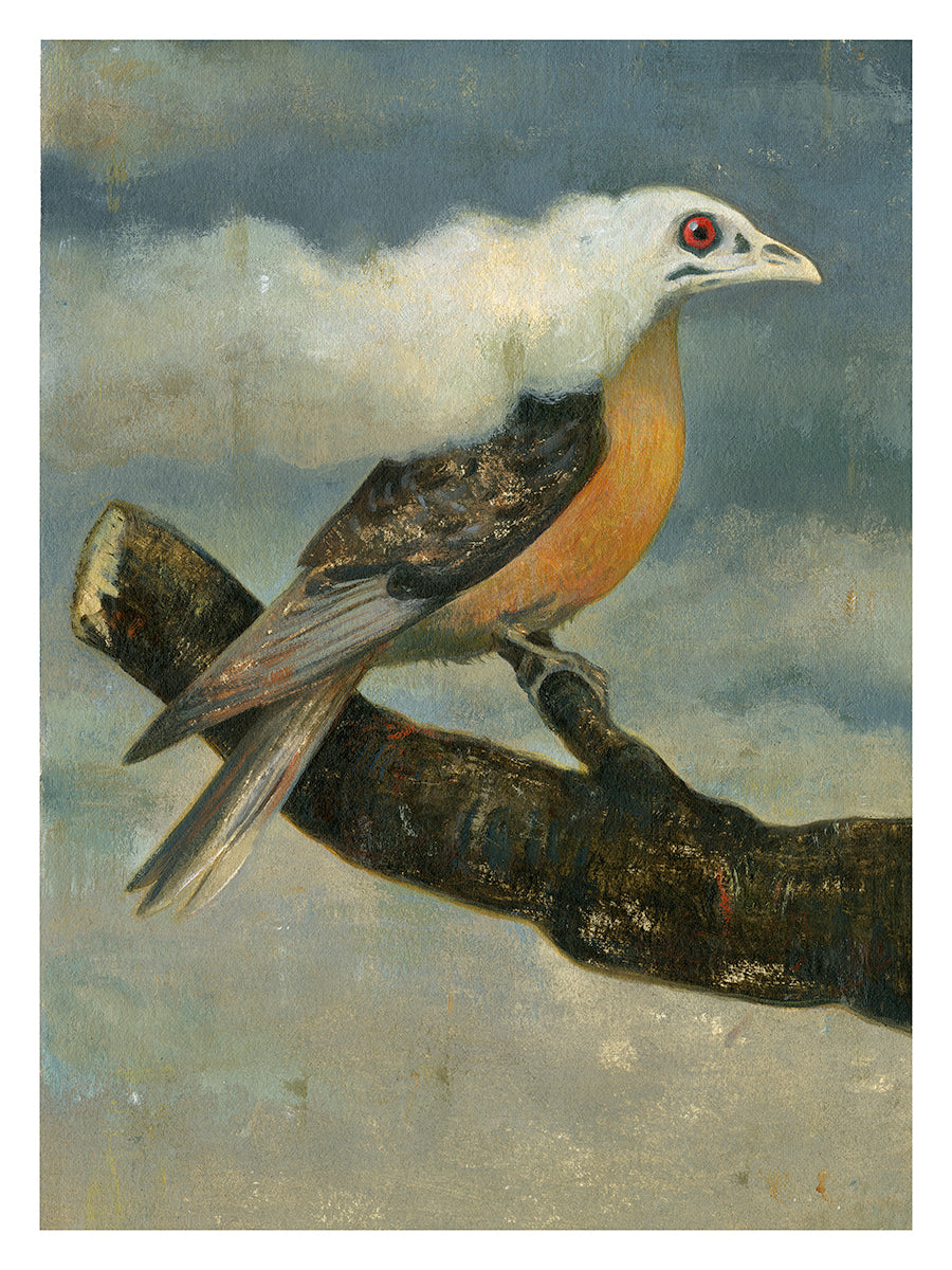 Passenger Pigeon