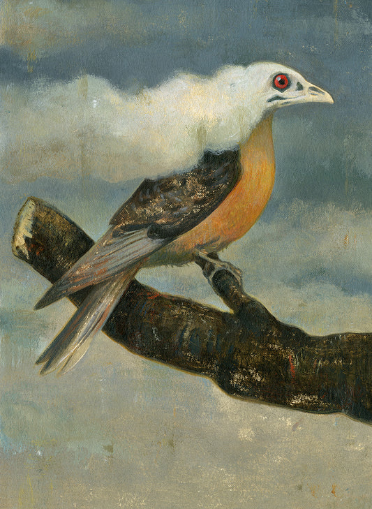 Passenger Pigeon