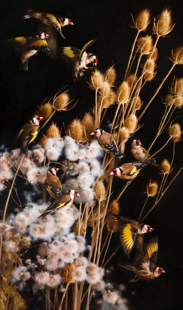 The Weight of Lightness