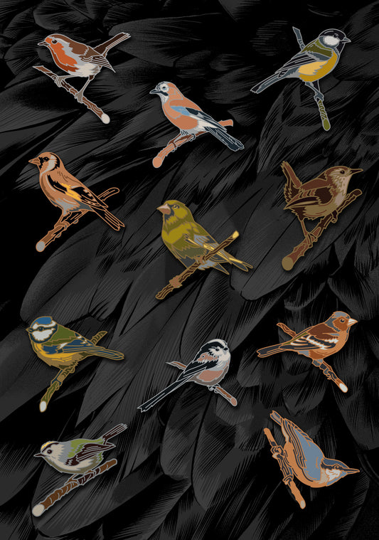 'Garden Birds of the British Isles' Pin Collection