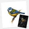 Blue Tit (Print + Pin)